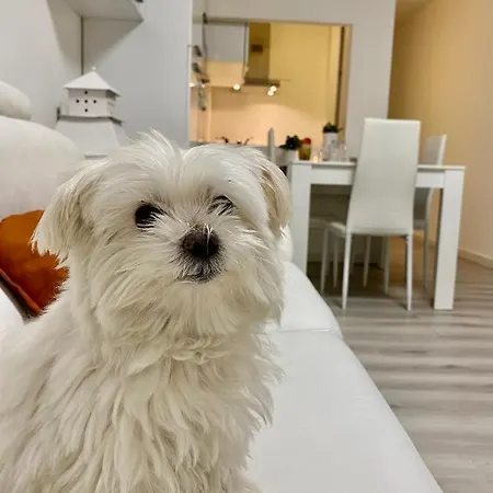 La Piazzetta Comacchio