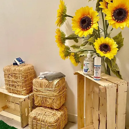 La Piazzetta Apartament Comacchio