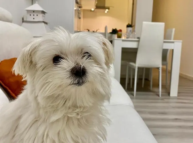 La Piazzetta Comacchio